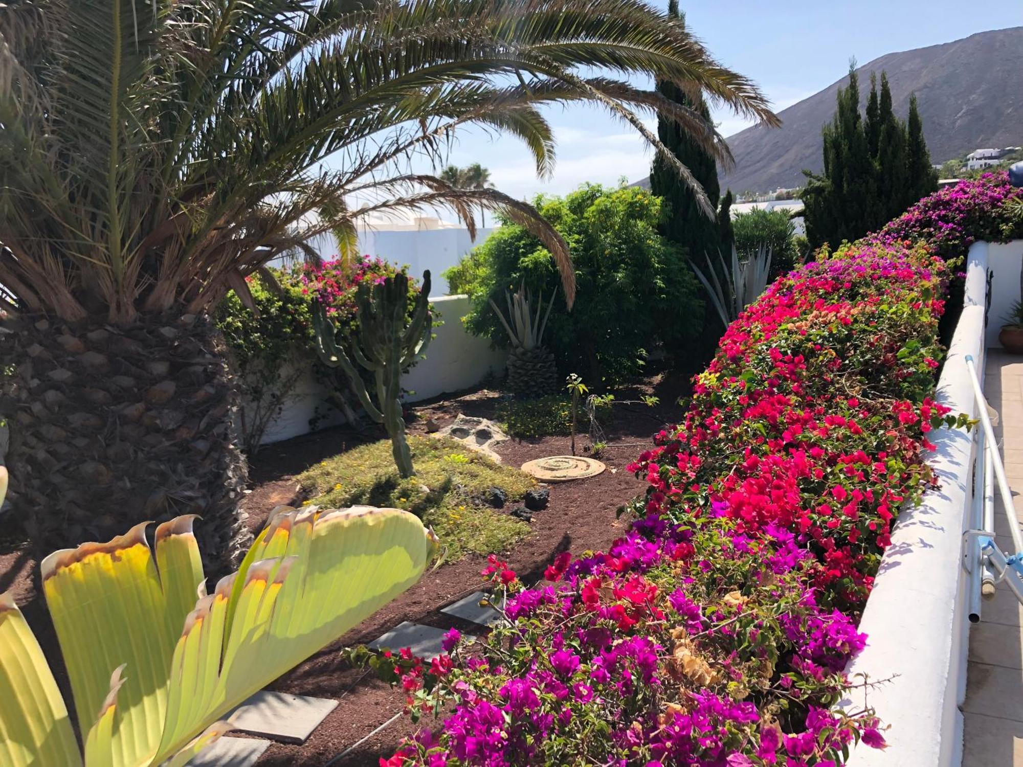 Villa Coco - Play Blanca - Lanzarote بلايا بلانكا المظهر الخارجي الصورة